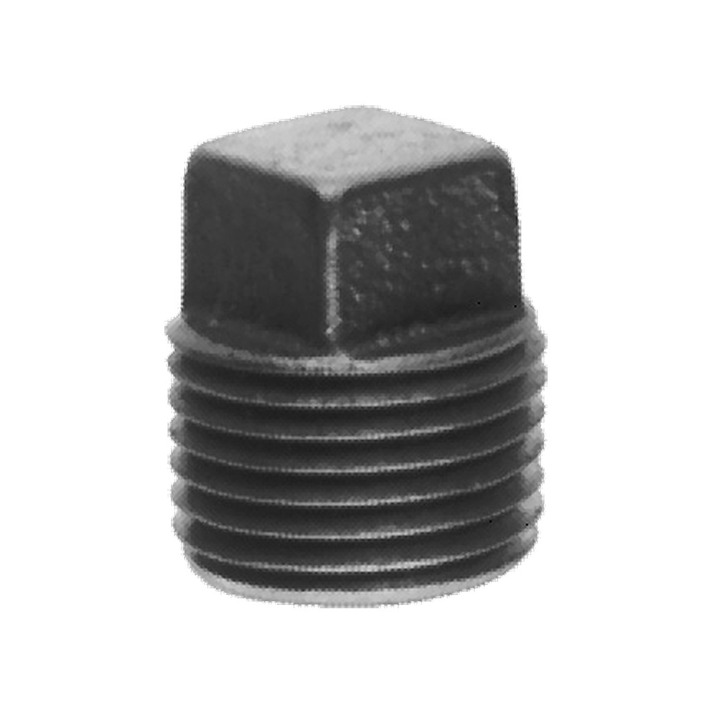 Tapon Mi Hexagonal Cl1 Div1 1/2"